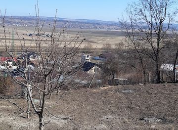 romania/vaslui/bar/brodoc