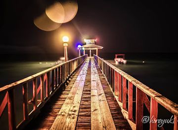 micronesia/kosrae-island/bar/mangroove-bar