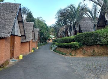 madagascar/andasibe/bar/hotel-feon-ny-ala