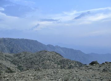 saudi-arabia/al-hada/bar/al-hada-palm