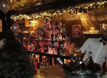 france/bordeaux/quinconces/bar/the-dog-and-duck