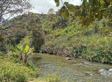 madagascar/mandrare-river/bar/mandraka-park-ampasimpotsy