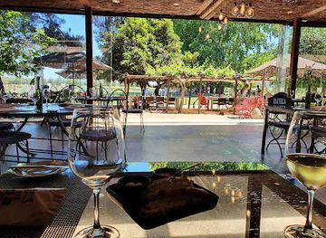 chile/colchagua-valley/bar/rayuela-wine-grill-vina-viu-manent