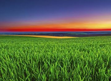 pakistan/quetta/bar/sadiq-akbar-street