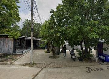 thailand/trang/bar/white-rabbit