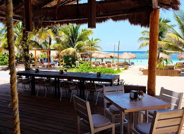 mexico/gulf-coast/bar/yaya-beach