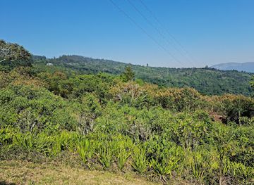 zimbabwe/bvumba-botanical-gardens/bar/bvumba-mountains