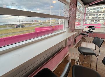 iceland/reykjavik/seltjarnarnes/bar/bull