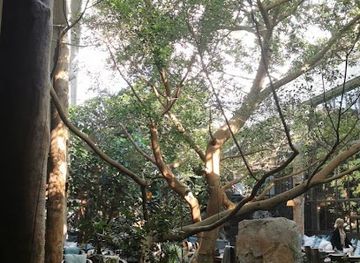 sweden/vemdalen/bar/storhogna-vintertradgard