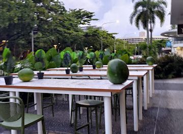 australia/cairns/bar/fiestas-cairns