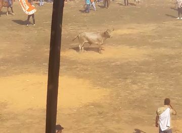 colombia/sucre-department/bar/estadero-xy