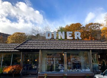 new-york/catskill-mountains/bar/phoenicia-diner