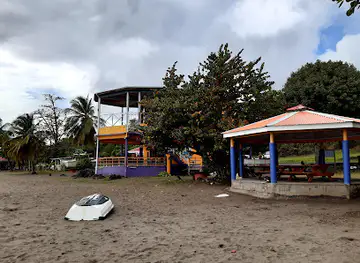 Purple Turtle Beach Club