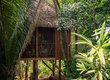 belize/mountain-pine-ridge/bar/sweet-songs-jungle-lodge-a-muy-ono-resort