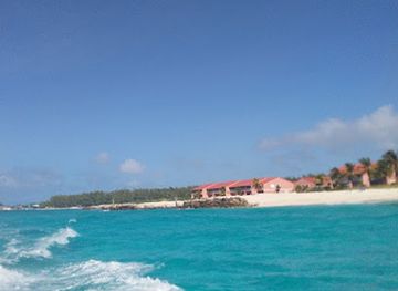 the-bahamas/bimini-islands/bar/the-big-dipper