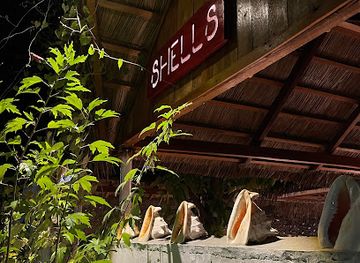 maldives/fulidhoo/bar/shells