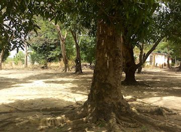 togo/kara-region/bar/bar-au-rendez-vous