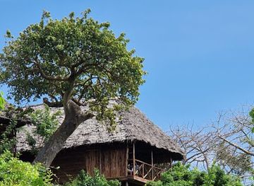 tanzania/mahale-mountains/bar/monkey-mountain-lodge