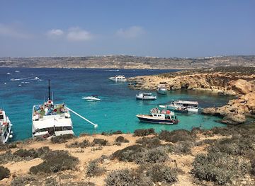 malta/gozo-and-comino/bar/the-fruit-bar