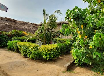 ghana/busua/bar/exodus-bar-grill