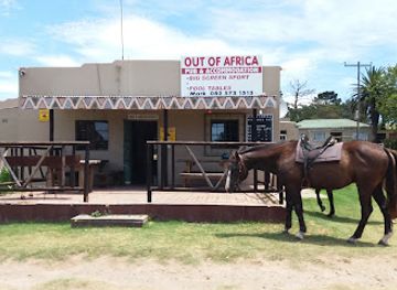 south-africa/eastern-cape/bar/out-of-africa-pub