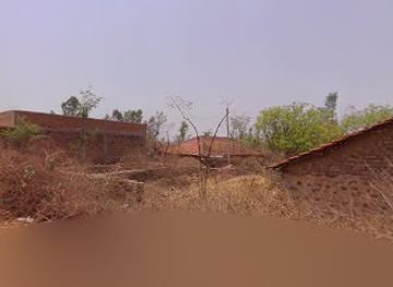 india/vindhya-range/bar/tilaya-mod