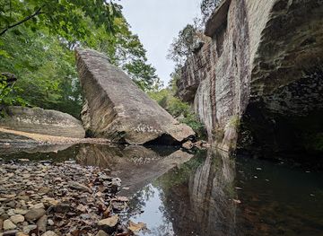 illinois/illinois-ozarks/bar/devil-s-backbone