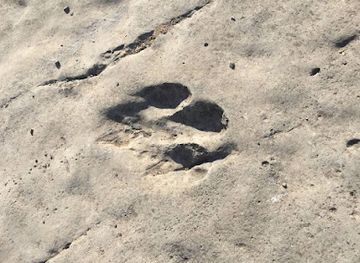 turkmenistan/koytendag-mountains/bar/