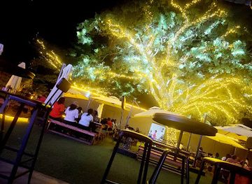 zambia/central-province/bar/free-fun