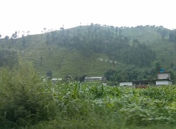 pakistan/kaghan-valley/bar/bangash-resturant