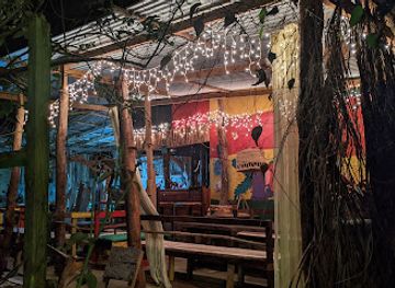 saint-vincent-and-the-grenadines/saint-patrick/bar/bush-bar