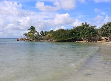 jamaica/runaway-bay-area/bar/crisnic-bar-and-grill