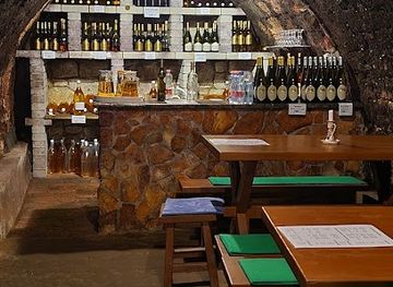 hungary/bodrogkoz/bar/borostyan-pinceszet