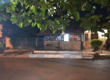 paraguay/concepcion-forest/bar/morfy-fpc