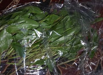 ethiopia/addis-ababa/arat-kilo/bar/dawed-bercha-abakoran