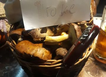 czechia/jizera-mountains/bar/fatra-lucany-nad-nisou