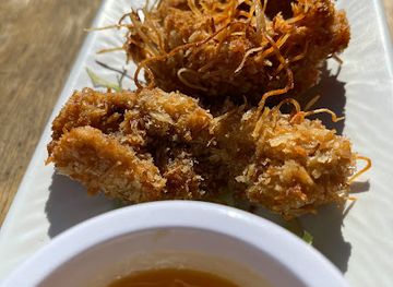 belize/cockscomb-basin-wildlife-sanctuary/bar/the-dive-bar