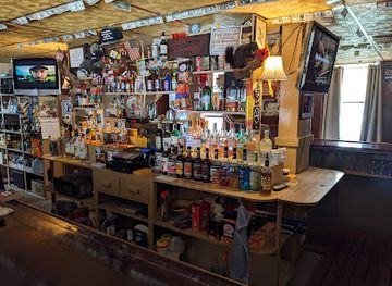 illinois/northern-illinois/bar/squirrel-cage-tavern