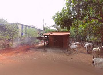 cambodia/tbong-khmum/bar/