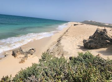 cabo-verde/praia-do-curral-velho/bar/santa-monica-bar