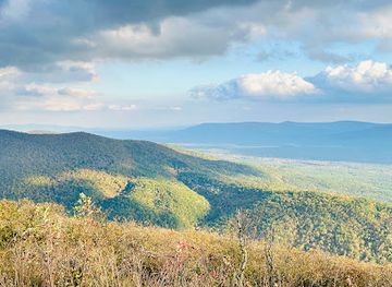 oklahoma/talimena-scenic-byway/bar/talimena-scenic-dr