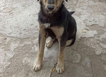 armenia/alaverdi/bar/restaurant