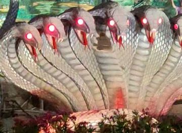 india/jammu/bar/paradise-bar-and-restaurant