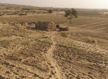 india/thar-desert/bar/