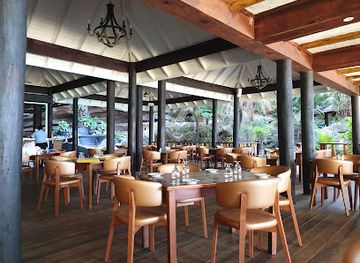 grenada/etang-national-park/bar/aquarium