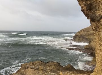 barbados/saint-lucy/bar/bishops-tenantry