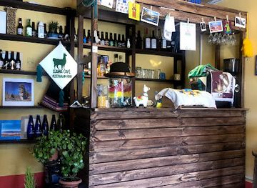 bolivia/uyuni/bar/llama-cafe