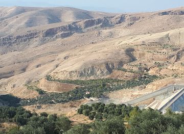 jordan/ajloun-forest-reserve/bar/mat`am-w-kufi-shwb-tllh-`jln-alsyahy