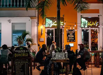 Agave cocktail bar