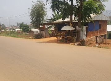 cameroon/bamenda/bar/amigos-bar-and-resturant-achu